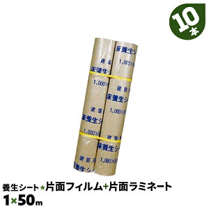 10{ 1×50m ЖʃtB+Жʃ~l[g xm{ h  {V[g [ G{X  { V[g  {V[g Hyz