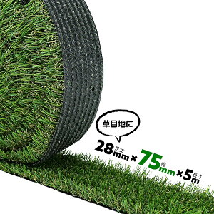ŏ28mm 75mm×5m [^[tXbg [ MTS28-0805 ڒnp ԏ ڒn̂ AlH h l lHŐ [^[t ׂlH ׂ Xbgy