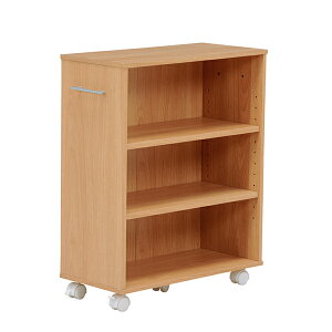 55cm s26cm 68cm}KWbN  RCC-1021-L i` _[NuE zCg ؖڒ   {I [bN Ԏ[ LX^[t [Iyz