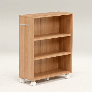 55cm s21cm 68cm}KWbN  RCC-1021-M i` _[NuE zCg ؖڒ   {I [bN Ԏ[ LX^[t [Iyz