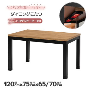 _CjO  120cm    zcȂ yz