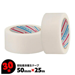 {e[v 50mm×25m 30  Y-06-WH _CebNX pCI {e[v pCI   S S tAOp {p ܂Ƃߔ ܂Ƃߔ yz