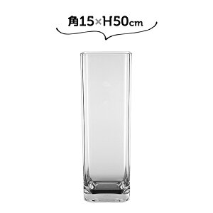 15×H50 PVp zCG Ȃԕr 傫 傫   ~yz