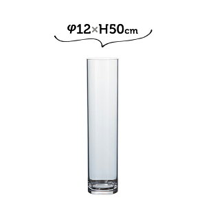 12×H50 PVV_[ zCG Ȃԕr 傫  yz