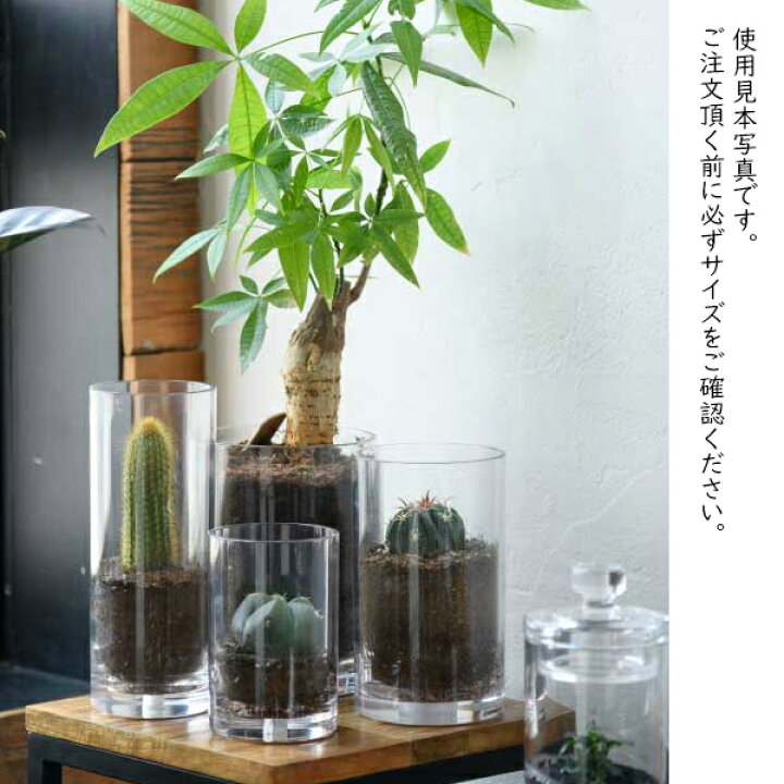 楽天市場】φ20×H80 PVシリンダー ホワイエ 割れない花瓶 大きめ 大きい 