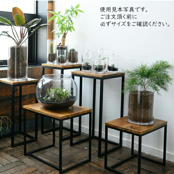 楽天市場】金魚鉢 割れない プラスチック 透明 おしゃれ 丸 30×H22.5 