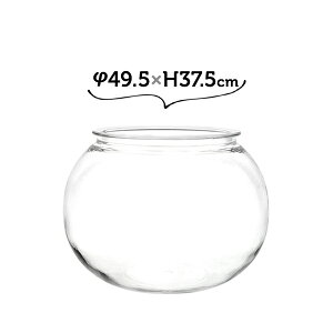  vX`bN Ȃ KX  ^  傫  L 49.5×H37.5 PV` zCG CeA Ȃԕr Ȃf ANAE 傫 yz