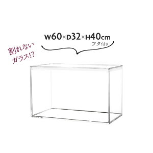  P[X t^t Ȃ   60×32×40cm lp p^ ANv 傫 ^ fBXvCP[Xyz