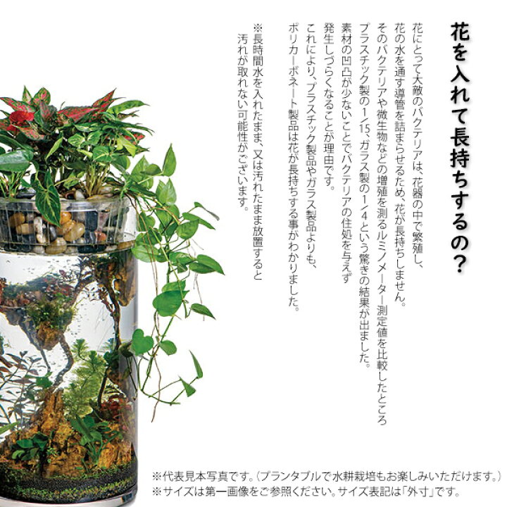 楽天市場】金魚鉢 割れない プラスチック 透明 おしゃれ 大 60×H45 丸 