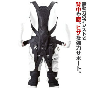 AVXgX[c GT|[ǧ^ [LOp[X[cX WP001 p[AVXgX[c p[X[c ɖh~ p T|[^[ T|[gxg xg GT|[^[ p[AV