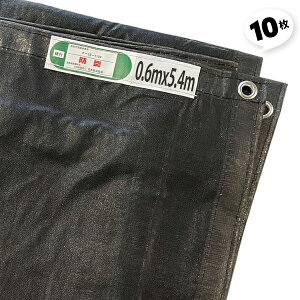 10 0.6×5.4  hhbVV[g bV  hF ngsb`450 ubN z ݌ H 򗈗h~ bVV[g ꎑށyz