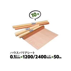 10{ 0.1mm 1200/2400mm×50m _u A nEXoAV[g 䉻w hCV[gyz