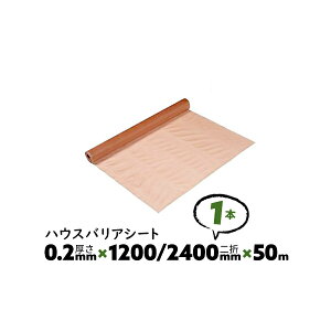 1{ 0.2mm 1200/2400mm×50m _u B nEXoAV[g 䉻w hCV[gyz