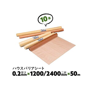 10{ 0.2mm 1200/2400mm×50m _u B nEXoAV[g 䉻w hCV[gyz