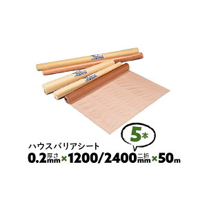 5{ 0.2mm 1200/2400mm×50m _u B nEXoAV[g 䉻w hCV[gyz