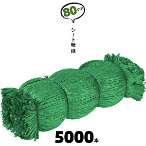 80cm 5000{ O[ V[gR V[gЂ V[gpR   R V[gЂ JbgR 800mm z ݌ P Ђ V[gpyz