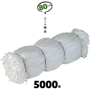 80cm 5000{ zCg V[gR V[gЂ V[gpR   R V[gЂ JbgR 800mm z ݌ P Ђ V[gpyz