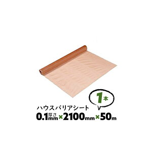 1{ 0.1mm 2100mm×50m VO A nEXoAV[g 䉻w hCV[gyz