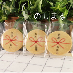 ŷ܂i5FJ[pbP[WjẑNbL[ی^NLOiENmxeB v`Mtg 񎟉 a җj z   qCxg