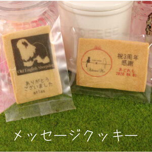 ybZ[WNbL[zJ[pbP[W͉^𐄏Ă܂IWibZ[WtCXg  َq ސE  