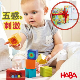 【店内全品P10倍】HABA ハバ ディスカバリーブロック・ファニーカラー 五感を刺激する積み木 HA302573 木製 知育遊び 知育玩具 おもちゃ 男の子 女の子 誕生日プレゼント クリスマスプレゼント 1歳 2歳 ギフト 出産祝い 孫