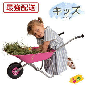 ŋz ꗣ ֎ sN NVbNT}[ RT274802  ` L[ 艟 lR 3 4 5 q LbY v[g a NX}X rolly toys [gC
