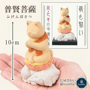 yN[|zzzLDK Lbuddha jub_ x{ L L`[t ؐx  ˂ lR u LG ɂԂ Lub_ N