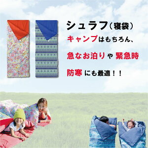 yubNtCf[N[|zzz^ Vt lTCY A^Cv Q Lv Ԓ 킢 􂦂 G|  AEghA RK[ ԕFLOWER NATIVEu[ hakz2100 hakz209