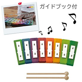 レインボーグロッケン・ダイヤ8音 誕生日プレゼント 入園祝い 入学祝い 音色が綺麗な 本格打楽器 知育玩具 楽器玩具 楽器 入園祝い ギフト おもちゃ ドイツ DECOR de5780 デコア