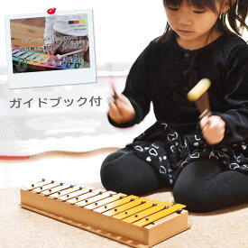 モデルグロッケン アルト・D(ガイドブック付き) 誕生日 入園入学プレゼント 音色が綺麗な 本格打楽器 知育玩具 楽器玩具 楽器 おもちゃ【送料無料STUDIO49 stgad