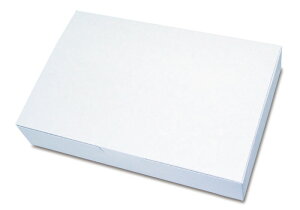 焼きそば 用 テイクアウト 紙容器 ・ 紙箱 YB-L 無地 500ヶ入【HLS_DU】