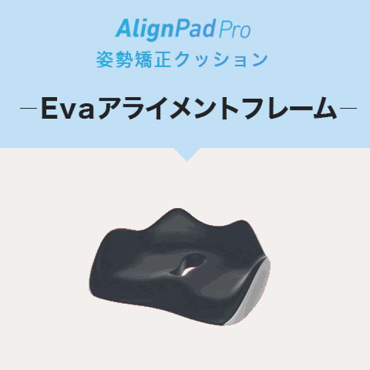 楽天市場】姿勢クッション 骨盤サポート 骨盤クッション 姿勢矯正