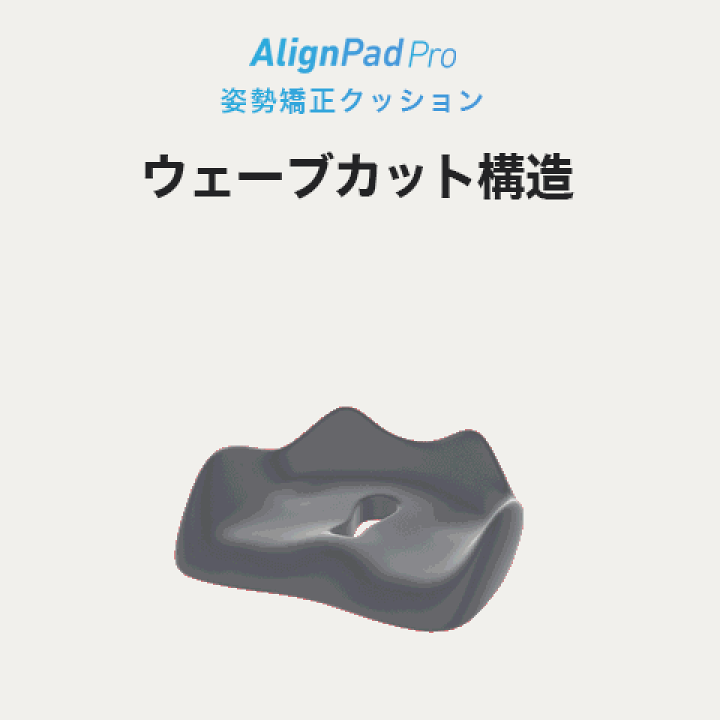 楽天市場】姿勢クッション 骨盤サポート 骨盤クッション 姿勢矯正