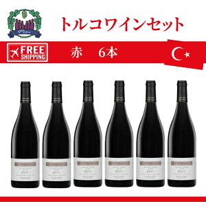 �g���R���C���Z�b�g�@6�{�Z�b�g���C���@�ԃ��C�� ��������