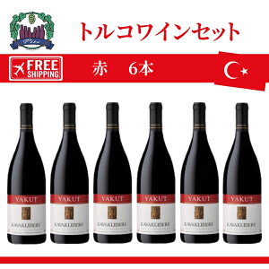 �g���R���C���Z�b�g�@6�{�Z�b�g���C���@�ԃ��C�� ��������