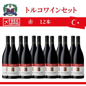 �g���R���C���Z�b�g�@12�{�Z�b�g���C���@�ԃ��C�� ��������