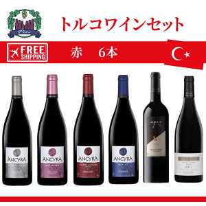 �g���R���C���Z�b�g�@6�{�Z�b�g���C���@�ԃ��C�� ��������