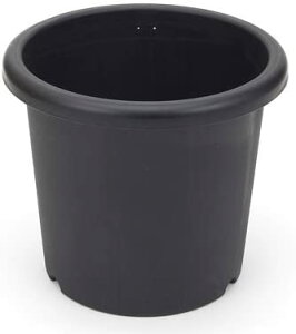 e 10 ubN AKx T{e R[fbNX  ACJ