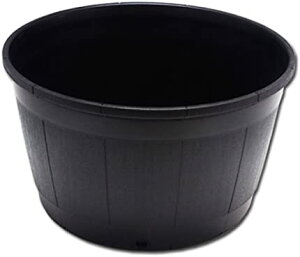 JXN|bg 310 ubN 31x19cm ACJ I[u AKx 