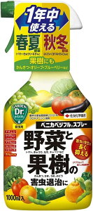 xjJxWtXv[@1000ML@ZFw|@|piEK[fjOpi@Xv[엿