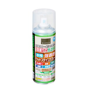 h ؕpXv[ FEbhXeCXv[ _[NubN Xv[h ATqy 300ml