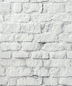 ǎ K zCgK ̂Ȃ ̂܂ܓ\Jx 46cm×5m SH-108 ATqy  tFCN AeB[N Vv _