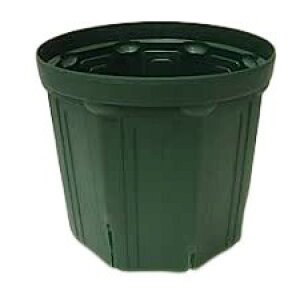 �X���b�g��6�� CSM-180 ���X�O���[�� ��o