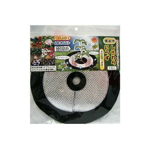 ���悯�@������炢�炸�@25cm�t�H���X�g2�����@�@���|�p�i�E�K�[�f�j���O