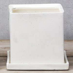 Zg|bgXNGAS zCg HT7604 GC`c[I[