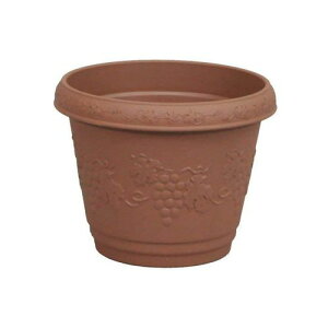 NXgv^[ 260^ uE AbvEFA[  v^[ 񂹐A