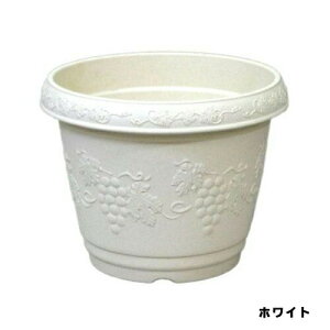 NXgv^[ 320^ zCg AbvEFA[  v^[ 񂹐A V{c[