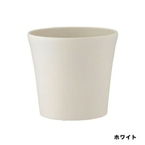 ReB|bg 160^ zCg AbvEFA[ Aؔ v^[ ϗtA