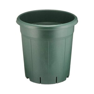 o 10 O[ AbvEFA[ Aؔ v^[ o [YK[f