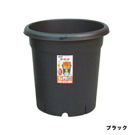 果樹鉢 365型 ブラックアップルウェアー 柑橘 レモン みかん